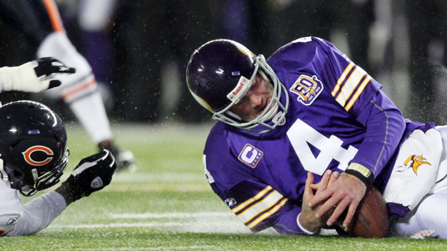Favre Bears